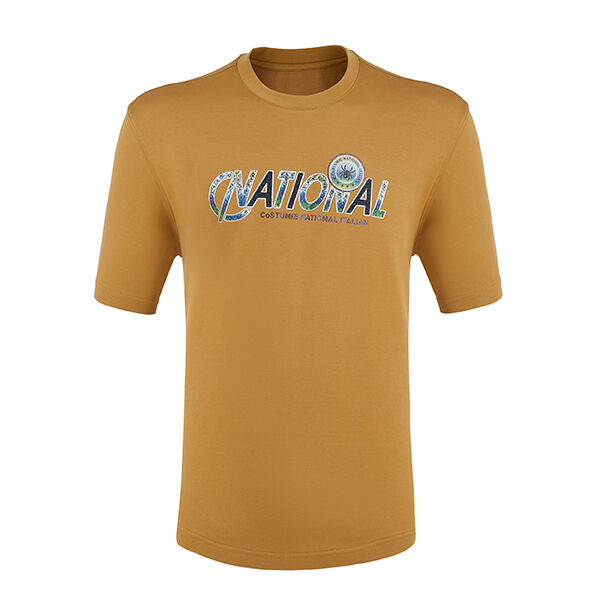 কাস্টম লোগো লেবেল ক্যাজুয়াল আরামদায়ক প্লেন কটন কাপড় পুরুষদের আইস ফিলিং অ্যান্টি-পিলিং কালো সাদা নীল আকাশি টি-শার্ট